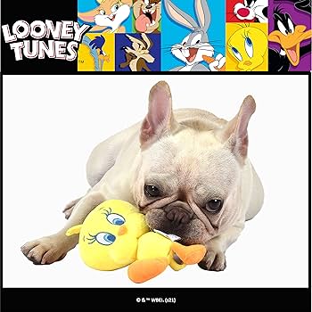 Amazon.co.jp: LOONEY TUNES ワーナーブラザーズ トゥイーティー